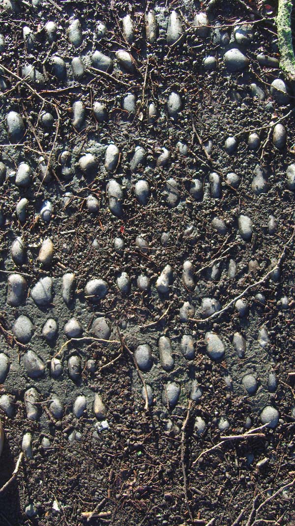 SAMSUNG DIGITAL CAMERA